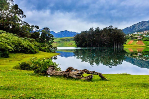 From Bangalore: Majestic Ooty Hill Station Tour 2N/3D