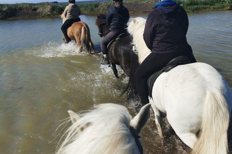 Südisland: Reiten am schwarzen Strand Tour