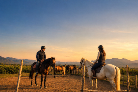 From Tbilisi: Guided Horseback Riding Tour with Transfer 1-Hour Horseback Riding with Round-Trip Transfer