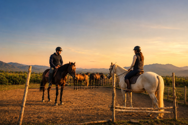 From Tbilisi: Guided Horseback Riding Tour with Transfer 1-Hour Horseback Riding with Round-Trip Transfer