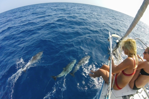 Fuerteventura: zeiltocht met snorkelen en dolfijnen kijken