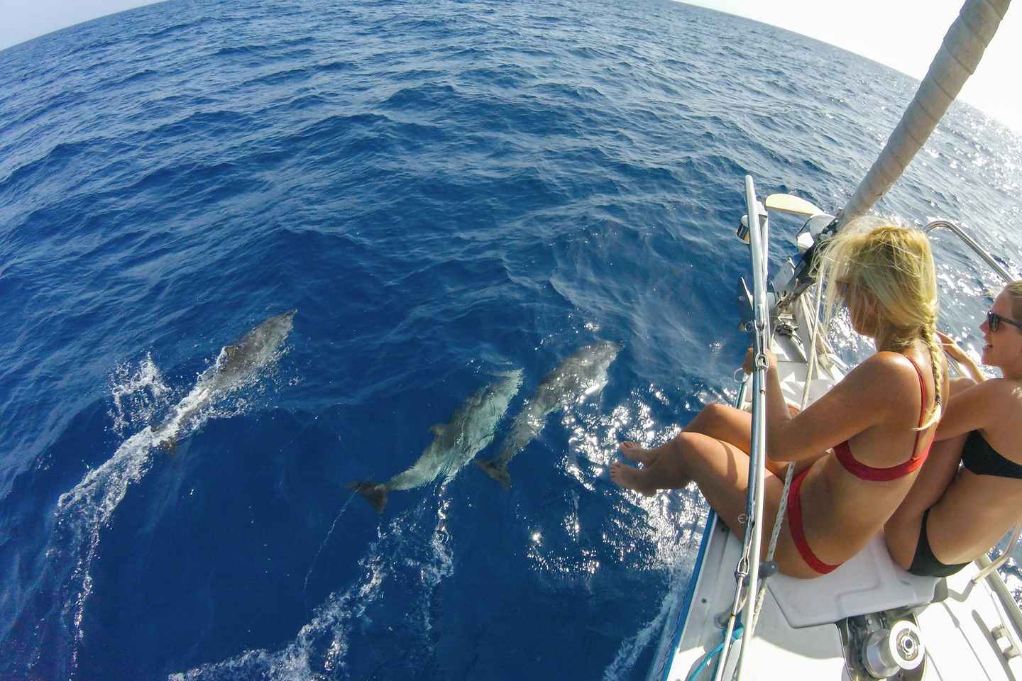Fuerteventura: Segeln mit Schnorcheln und Delfinbeobachtung