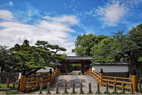 Wakayama: Mt. Koya & Hidden Nachi Falls Tour with Lunch