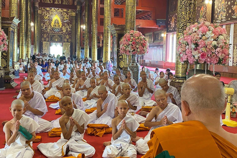Chiang Mai: Temple Visit & Elephant Nature Observation