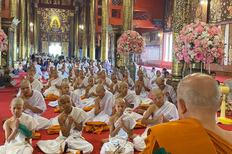Chiang Mai: Temple Visit & Elephant Nature Observation