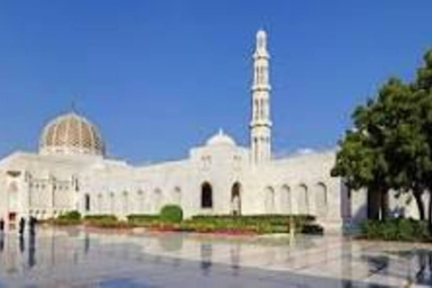 Hidden Muscat: Private Cultural Journey, Local Stories&Spots