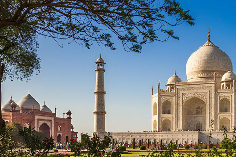 From Delhi or Jaipur: Same-Day Taj Mahal Luxury Tour From Delhi/Jaipur: Premium All-Inclusive Tour in Kia Carens