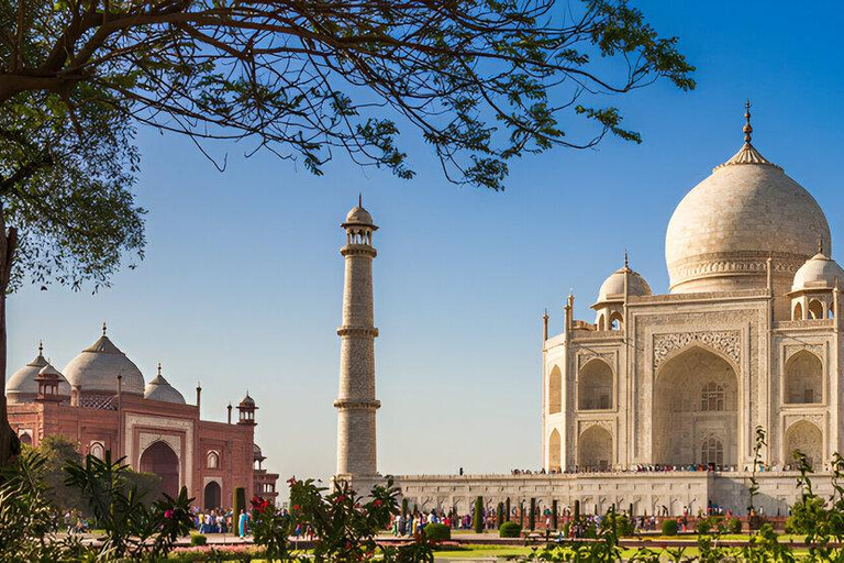 From Delhi or Jaipur: Same-Day Taj Mahal Luxury Tour From Delhi/Jaipur: Premium All-Inclusive Tour in Kia Carens