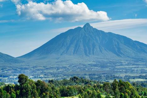 3 Day Rwanda Gorilla and Golden Monkey Trekking Tour