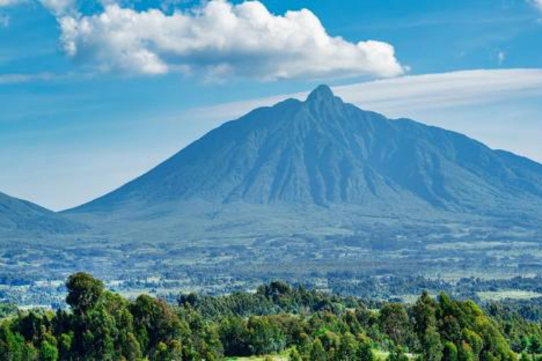 3 Day Rwanda Gorilla and Golden Monkey Trekking Tour