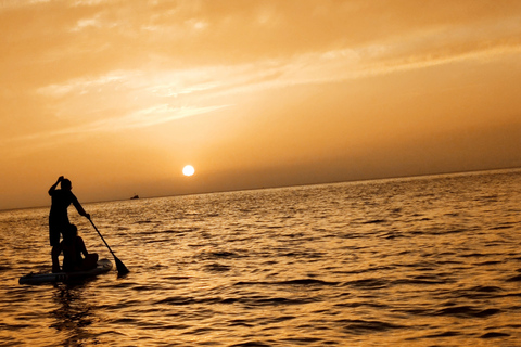From Vis: The Best Of Vis: Private Tailor Made Boat Tour