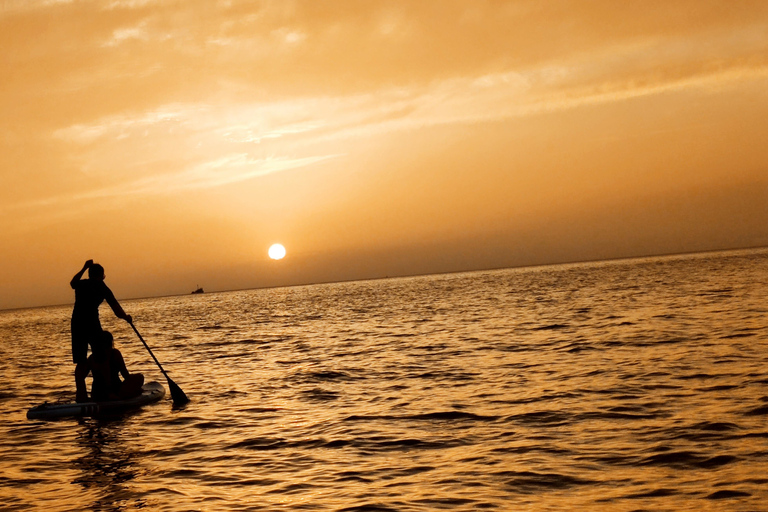 From Vis: The Best Of Vis: Private Tailor Made Boat Tour
