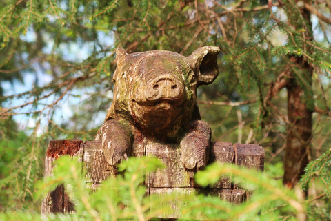 Interlaken: Scenic Walk and Raclette by the Mountain Lake