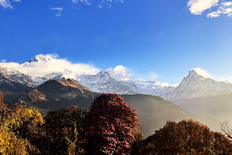 Annapurna: 8-dniowa łatwa wędrówka z przewodnikiem po Annapurnie