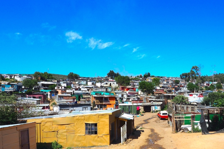 From Cape Town: Guided Walking Tour of Local Townships Private Township Tour