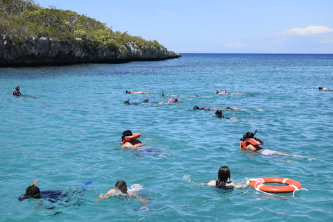 Punta Cana: Avventura di snorkeling e immersioni sull&#039;isola di CatalinaTour compartidos en Español