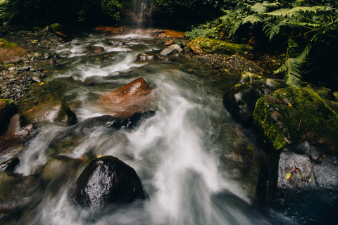 Escursione naturalistica ad Arusha alle cascate di Napuru.