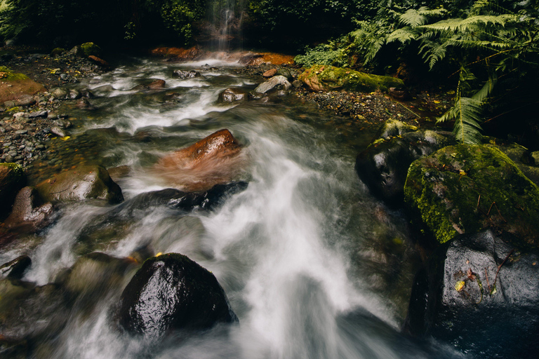 Escursione naturalistica ad Arusha alle cascate di Napuru.