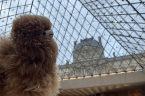 Paris : billet d&#039;entrée au musée du Louvre et visite guidée privée