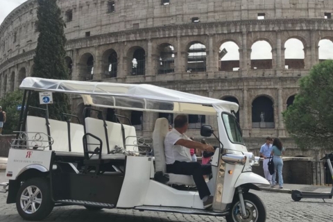 Rome: Private City Tour by Electric Tuk Tuk with Transfer