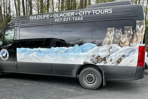 Seward: To Anchorage Full Day Transit Tour with Port Pickup