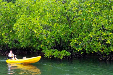 Krabi: Aventura de caiaque pela floresta de mangue de Ao Thalane