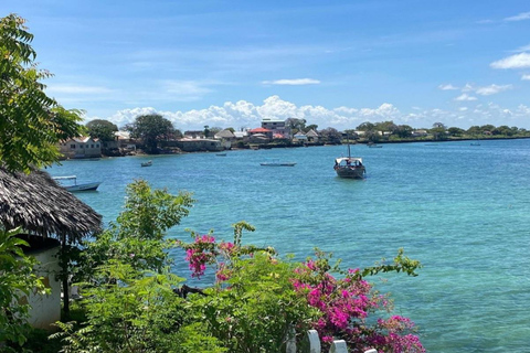 Traditional dhow ride to Kisite Marine Park & Wasini & dolphin watching