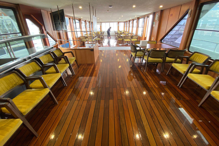 Lisbonne : Croisière du Nouvel An sur le fleuve Tage avec DJ en direct