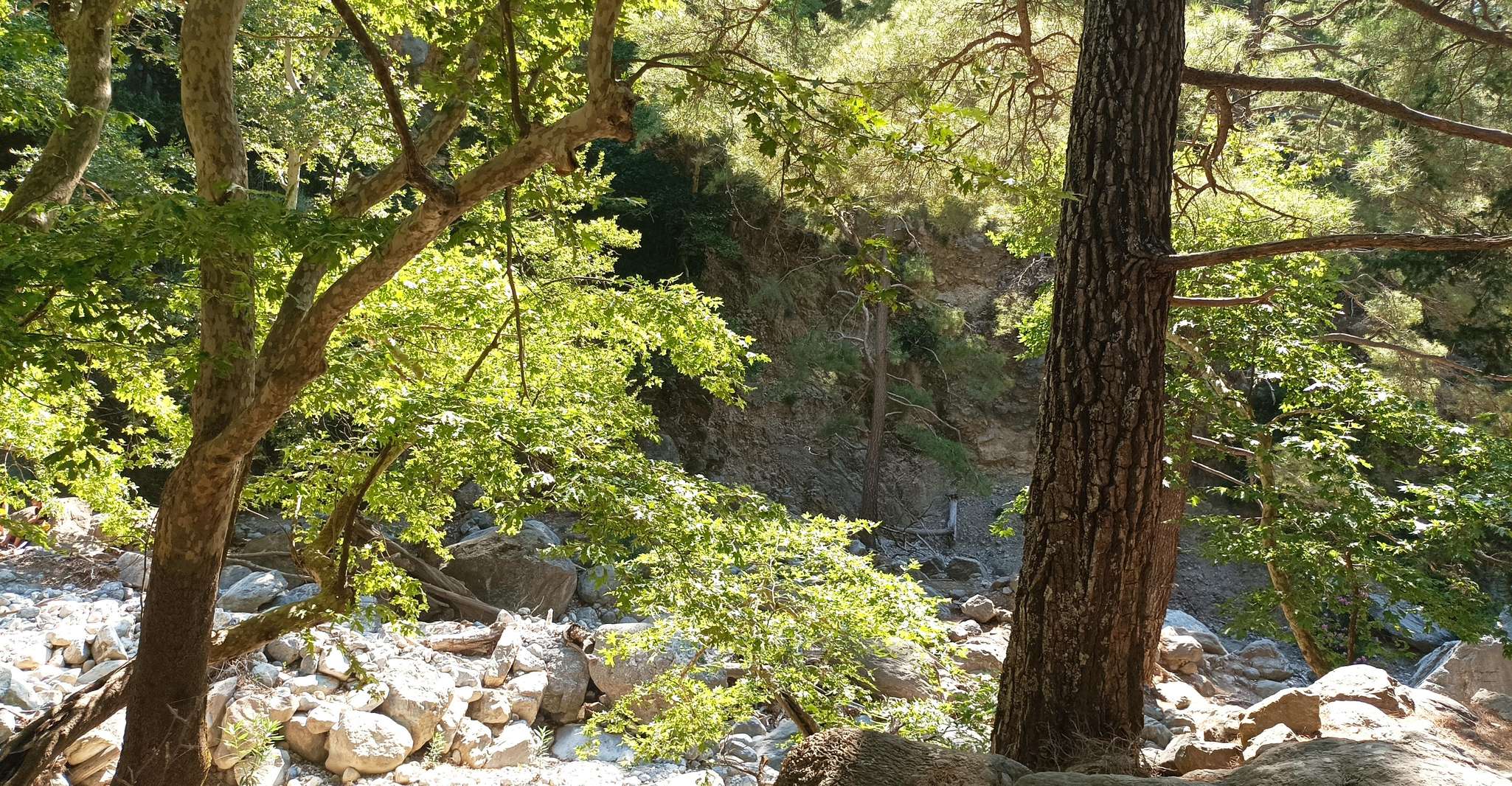 Transfert privé de Samaria Gorge de Chania - Housity