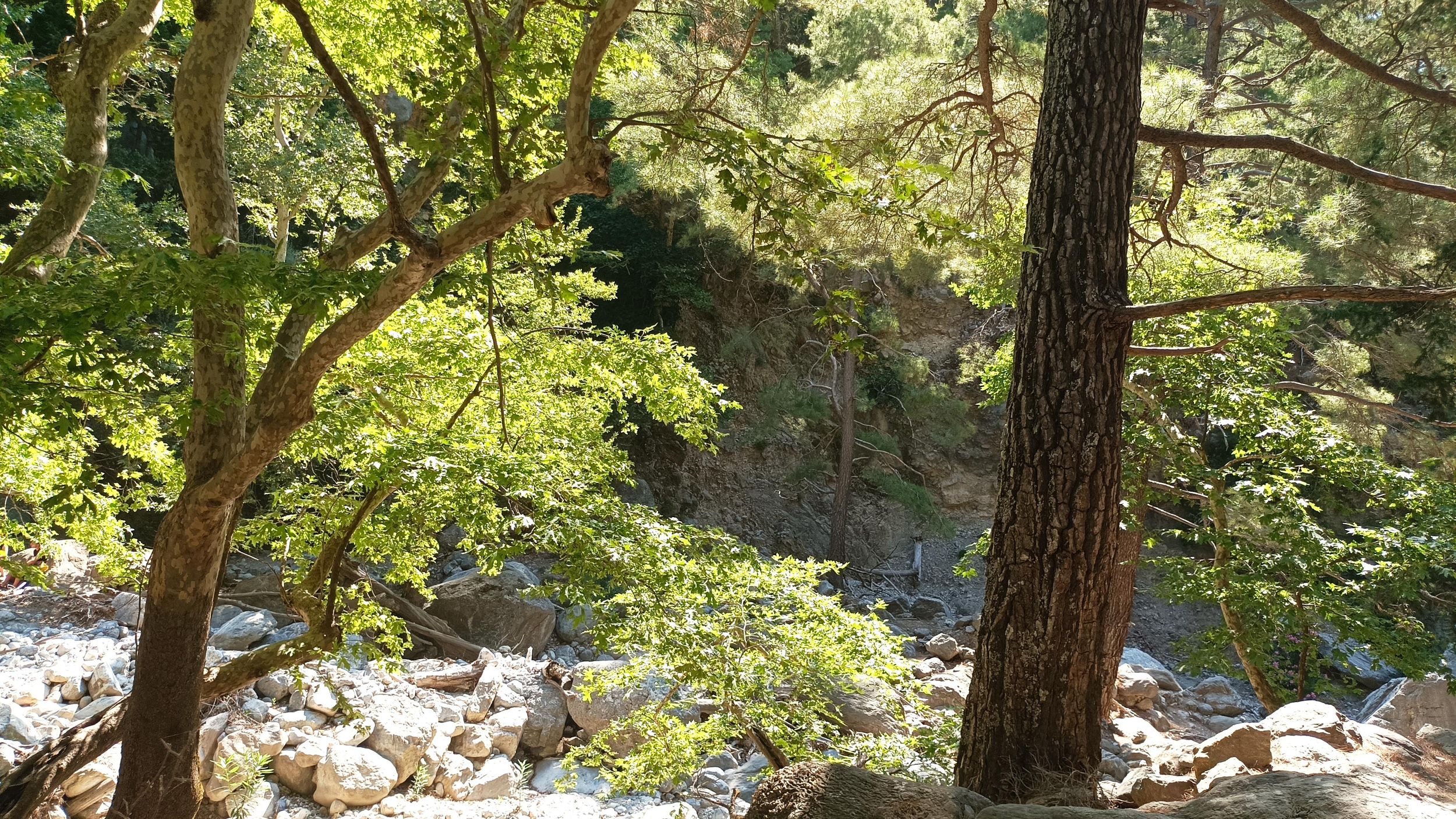 Chania: Samaria-Schlucht Privattransfer