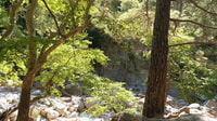 Transfert privé de Samaria Gorge de Chania - Housity