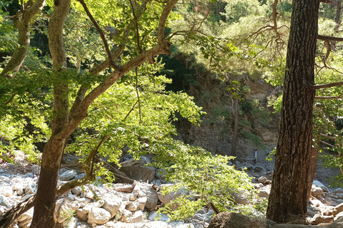 Chania: Samaria Gorge Private Transfer