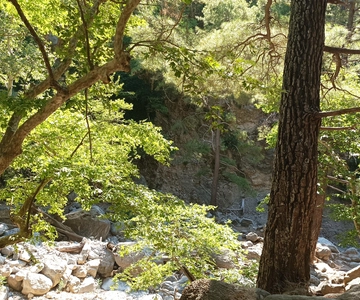 Chania: Samaria Gorge Private Transfer