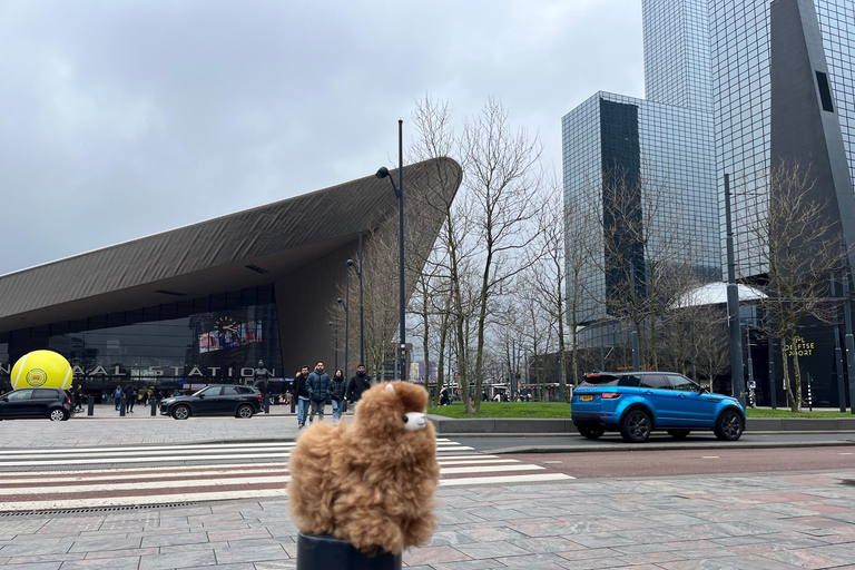 Hague & Rotterdam Full-Day Adventure from Brussels Comfort Car 1-2 Pax
