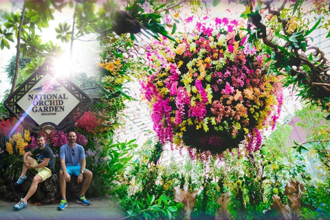 Singapore: National Orchid Garden Admission