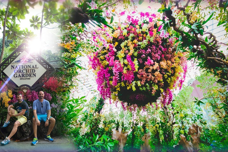 Singapore: National Orchid Garden Admission