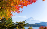 Mt Fuji , Highlight tour ed esperienza indimenticabile - Hizvo