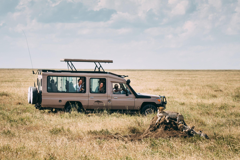 4 Days Private Midrange Safari from Zanzibar with Flights