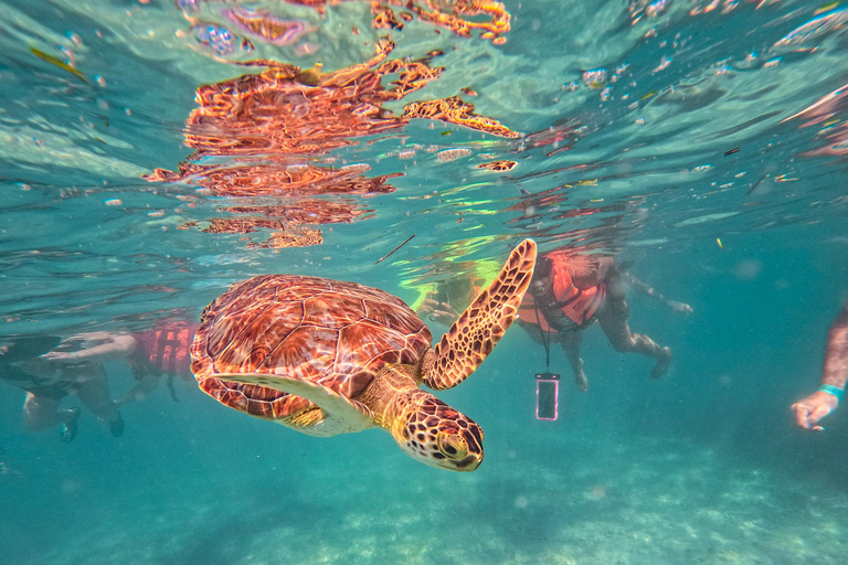 Cancun: Tulum Ruins, Akumal Turtles, Cenote & Caves Snorkel From Cancun