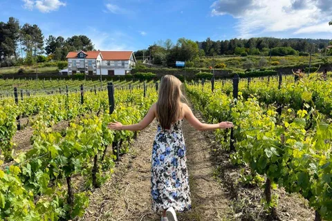 Porto: Douro Valley Tour with 2 Wineries, Lunch and Cruise
