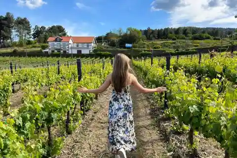 Porto: Tur i Douro-dalen med 2 vingårde, frokost og guidet krydstogt