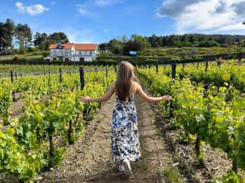Porto: Douro Valley Tour met 2 wijnhuizen, lunch en rondvaart