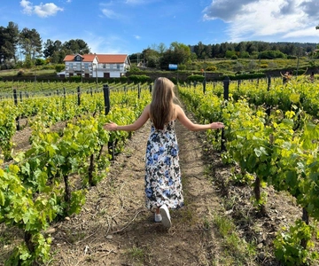 Porto: Douro Valley Tour with 2 Wineries, Lunch and Cruise