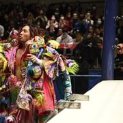 New Japan Pro-Wrestling em Tóquio