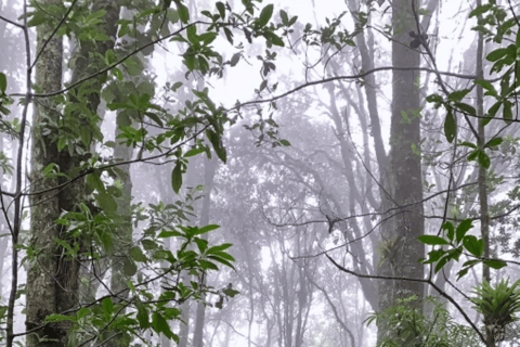 San Cristóbal de las Casas: Hiking on Huitepec Volcano