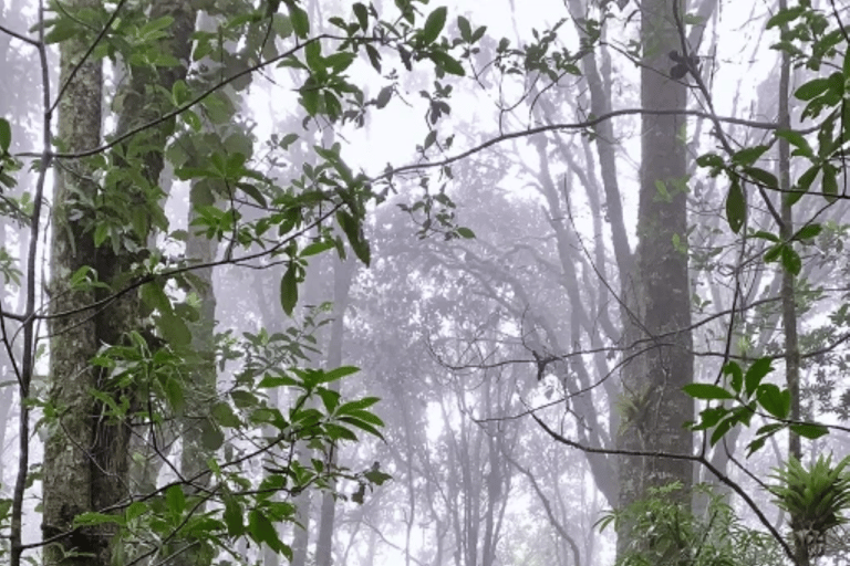 San Cristóbal de las Casas: Hiking on Huitepec Volcano