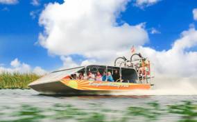 Miami: 60 min Airboat, Transfer and Wildlife Sanctuary