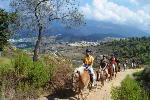 Alanya: Horse Riding Club Transfer Service For West of Alanya:Konaklı, Türkler, Avsalar, Okurcalar area