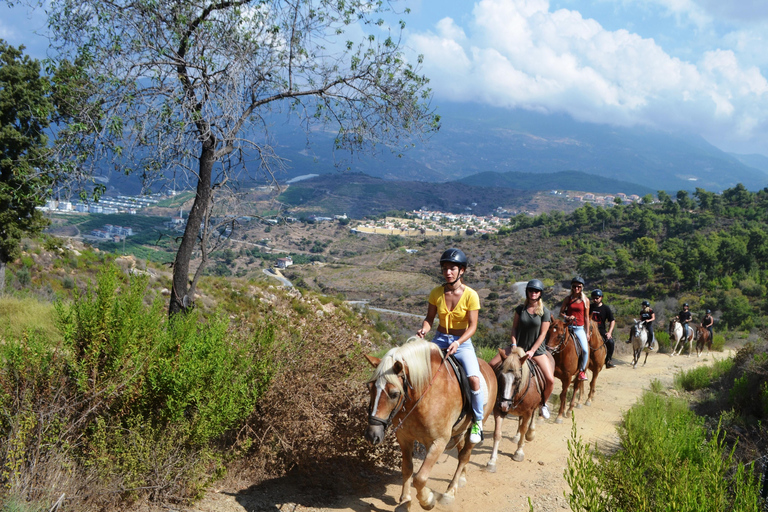 Alanya: Horse Riding Club Transfer Service For Alanya Center Oba Mahmutlar Location