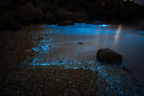 Krabi: 7 Islands Tour with Sunset and Plankton by Speedboat